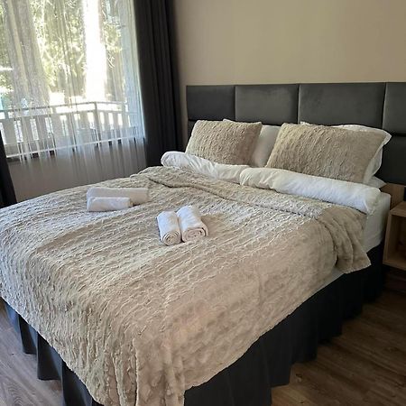 Cozy Riverside Pine Studio E5 ボロヴェッツ エクステリア 写真