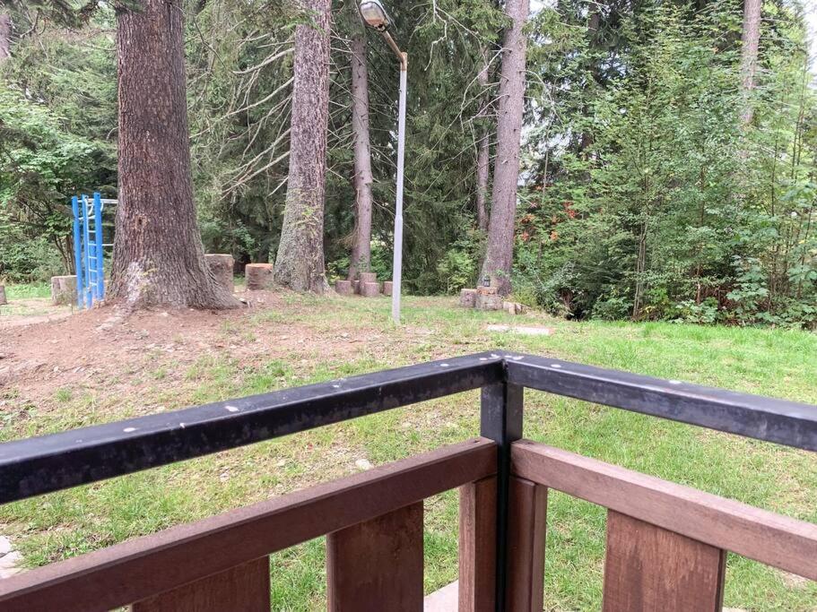 Cozy Riverside Pine Studio E5 ボロヴェッツ エクステリア 写真