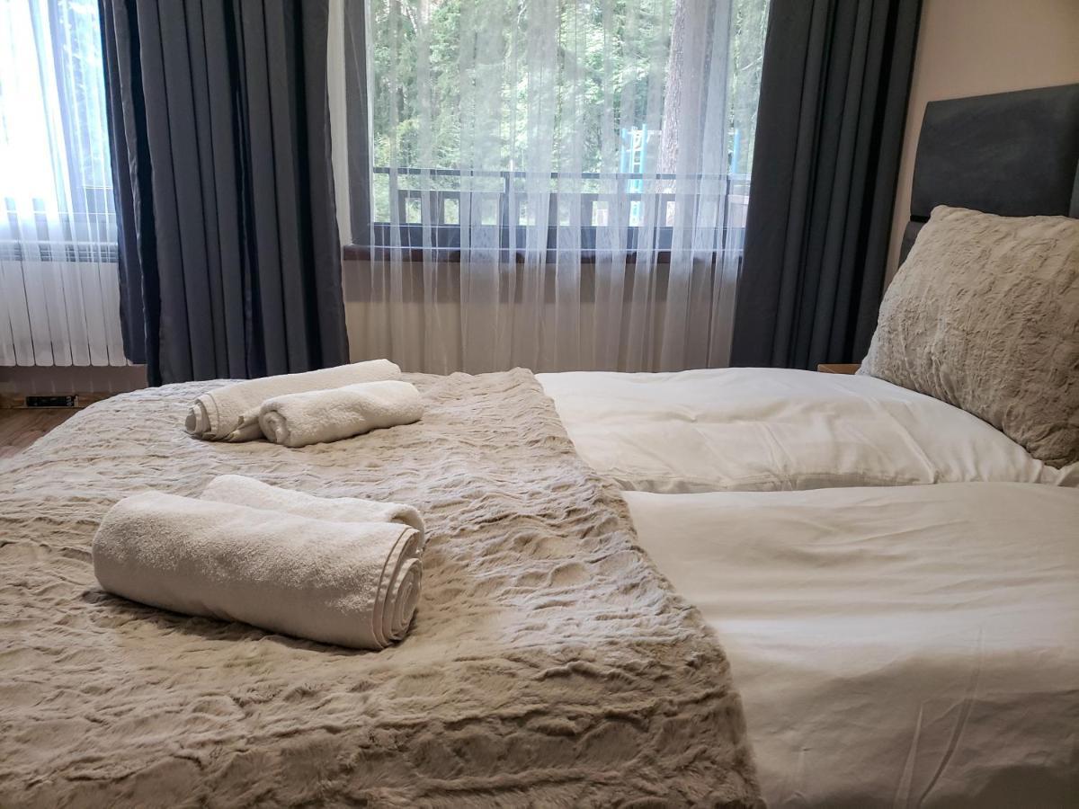 Cozy Riverside Pine Studio E5 ボロヴェッツ エクステリア 写真