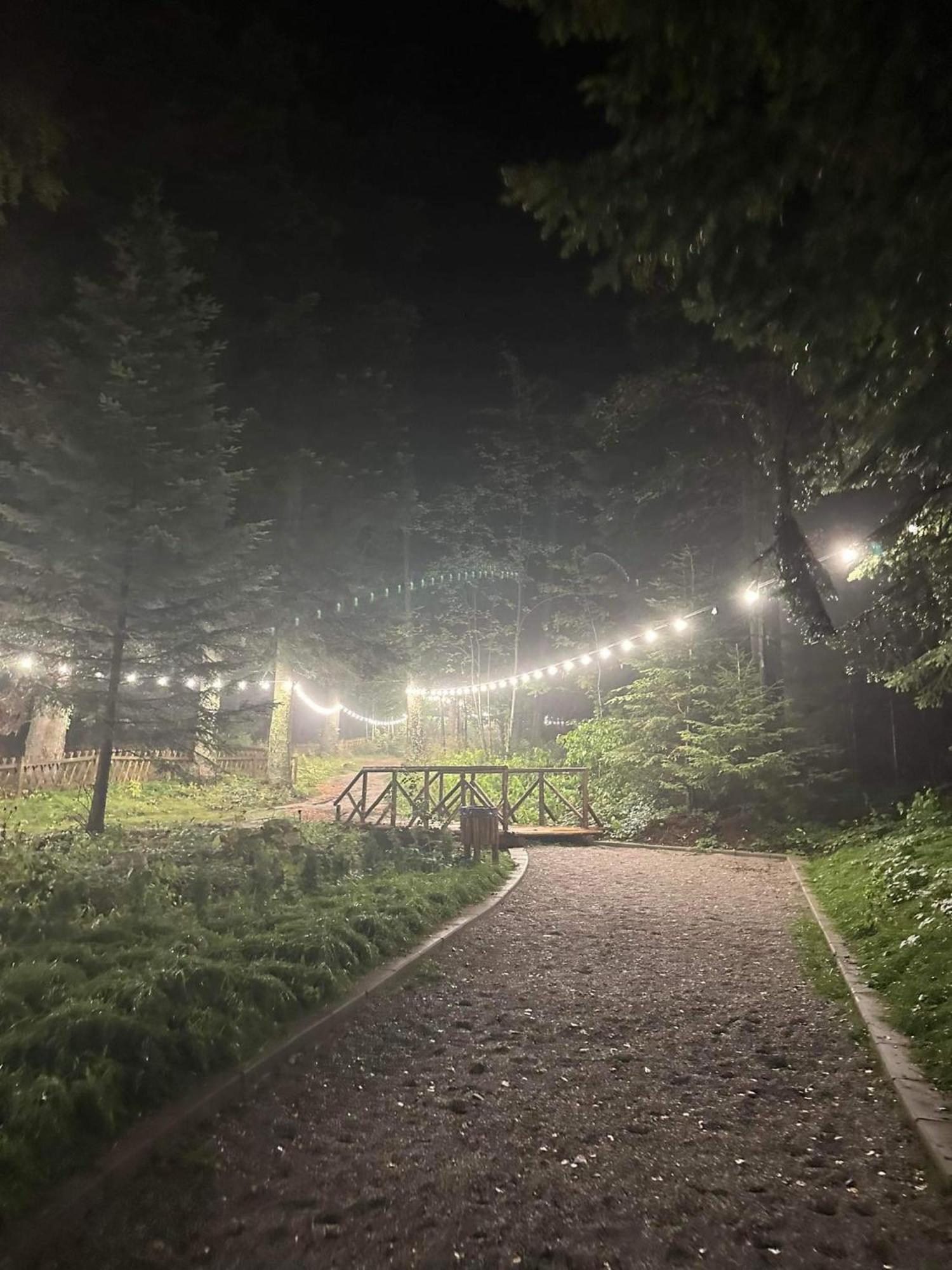 Cozy Riverside Pine Studio E5 ボロヴェッツ エクステリア 写真